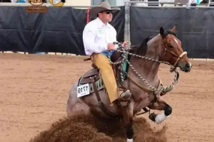 Latest News Braden Johns Nrcha Accident