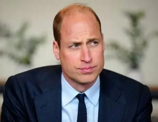 Prince William notable project