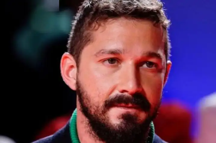 Shia LaBeouf’s recent legal issue and outcomes