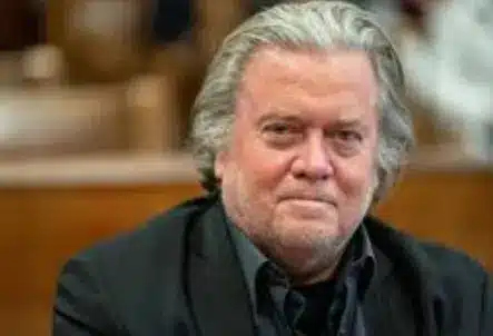 Steve Bannon Career